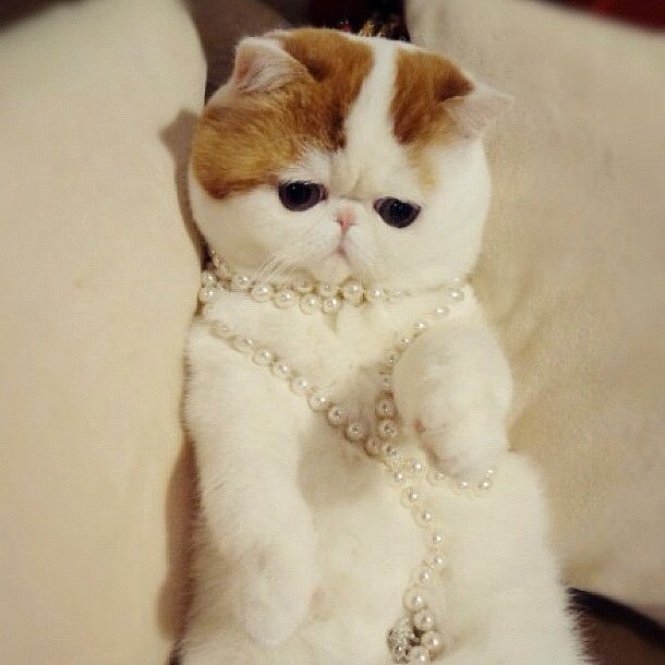 All-About-Glamour