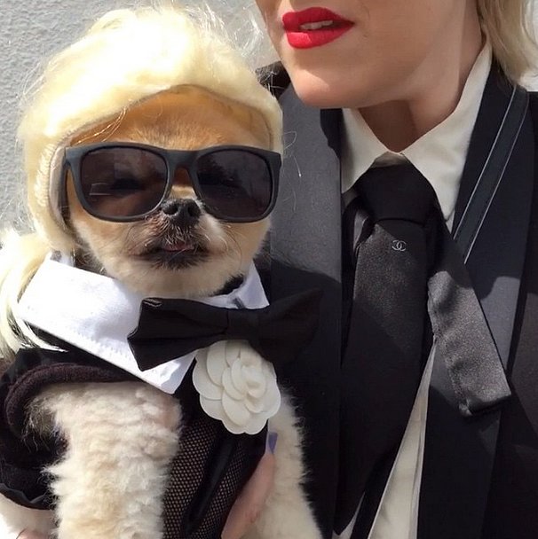 Calling-Karl-Lagerfeld
