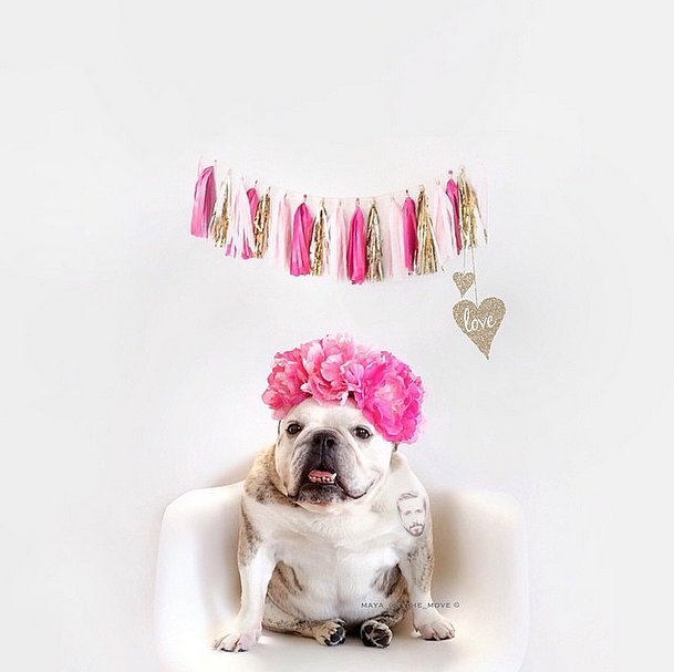 Fresh-Flower-Crown-Perfectly-Girlie