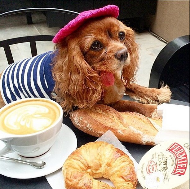 Jet-Setting-Style-Très-Bien