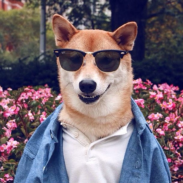 Play-Preppy