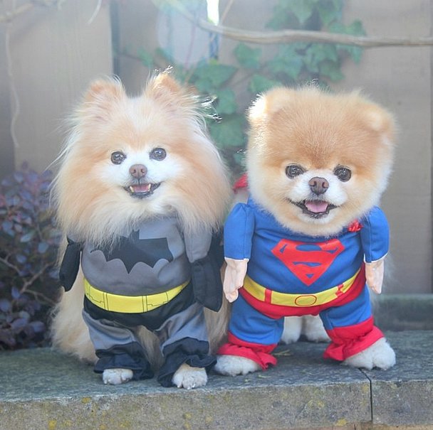 Pull-Off-Bold-Costumes