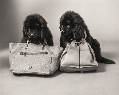 MOP_Campaign_FW15_Main_Women_ACC_06_lil