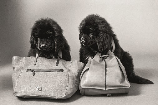 MOP_Campaign_FW15_Main_Women_ACC_06_lil