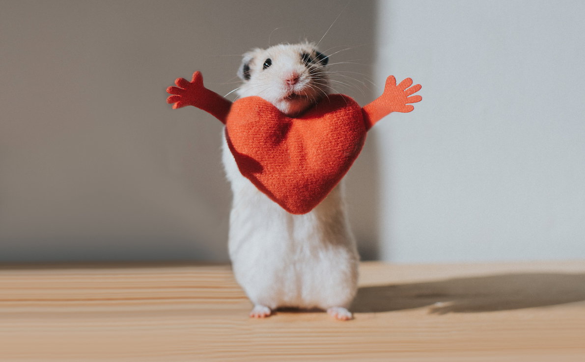 Hamster Hug