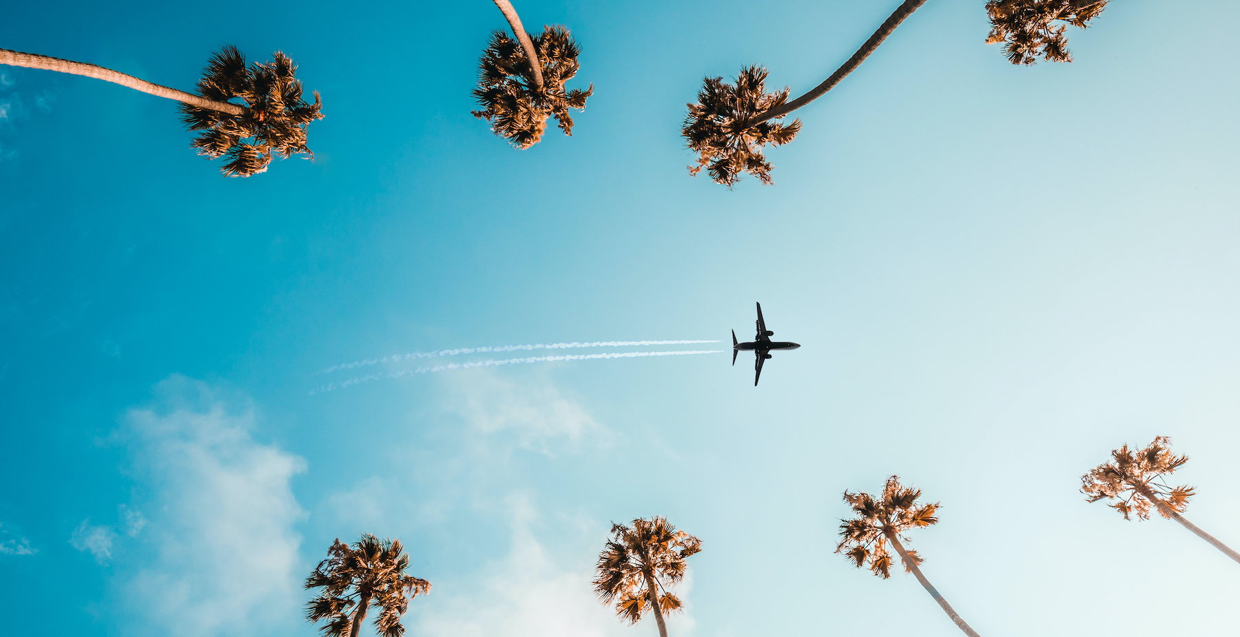 Directly Below Shot Of Trees And Airplane Against Sky
