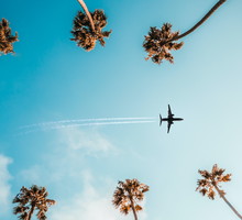 Directly Below Shot Of Trees And Airplane Against Sky