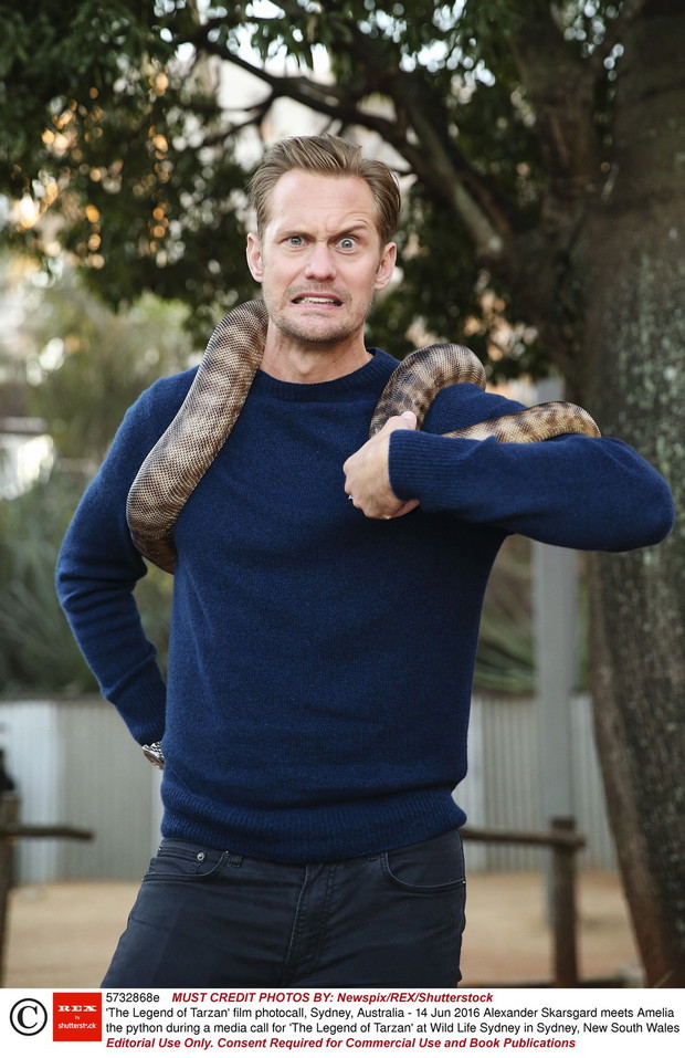 Alexander Skarsgard Tarzan: Legenda / fot. East News