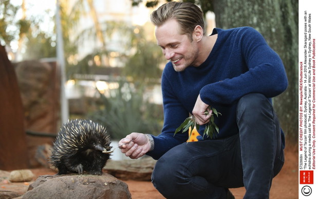 Alexander Skarsgard Tarzan: Legenda / fot. East News