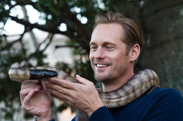 Alexander Skarsgard Tarzan: Legenda / fot. East News