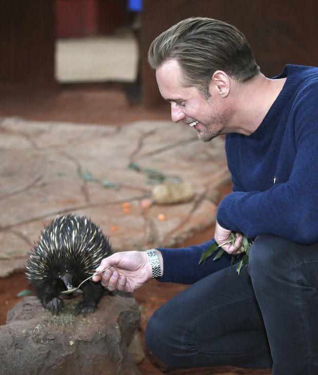 Alexander Skarsgard Tarzan: Legenda / fot. East News