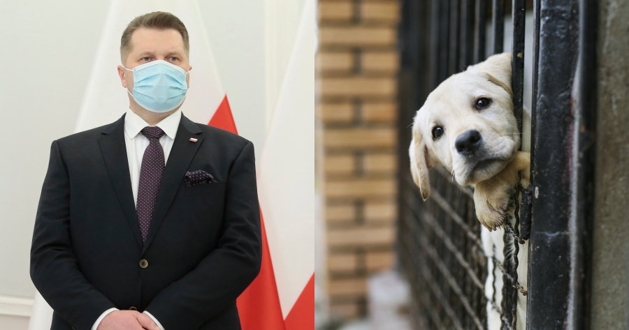 przemyslaw-czarnek-minister-edukacji-uwaza-ze-zwierzeta-nie-maja-zadnych-praw1-aff56df