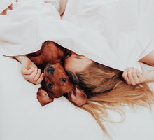 Beautiful girl lying relax in bed with her beloved dog. morning prodding in a warm comfortable bed. cute woman and her dog are sleeping in the bed covered with a blanket. - Image