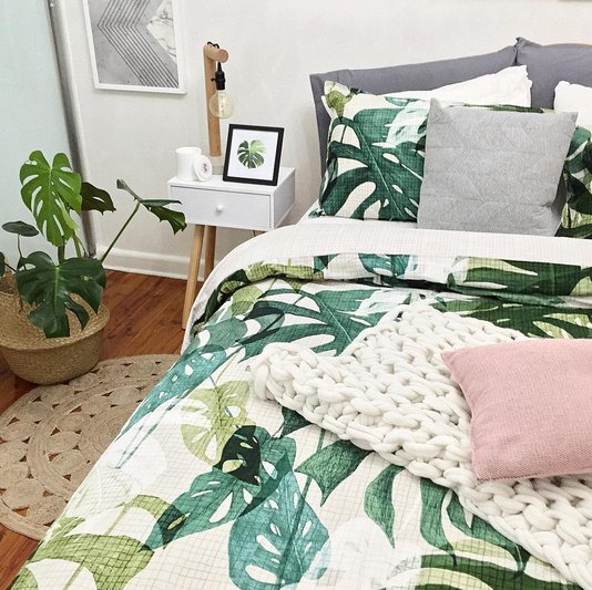 Monstera dziurawa, rośliny, trendy