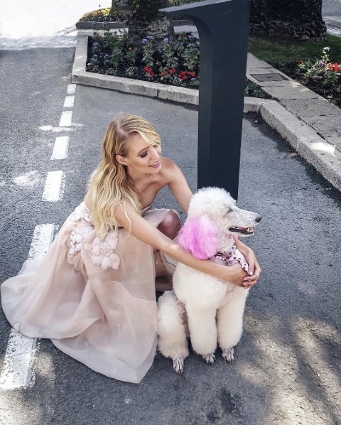 @ohhcouture Instagram