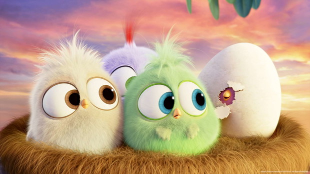 Angry Birds Film