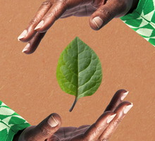 natura-04b0c11
