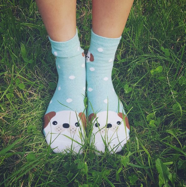 CandySox