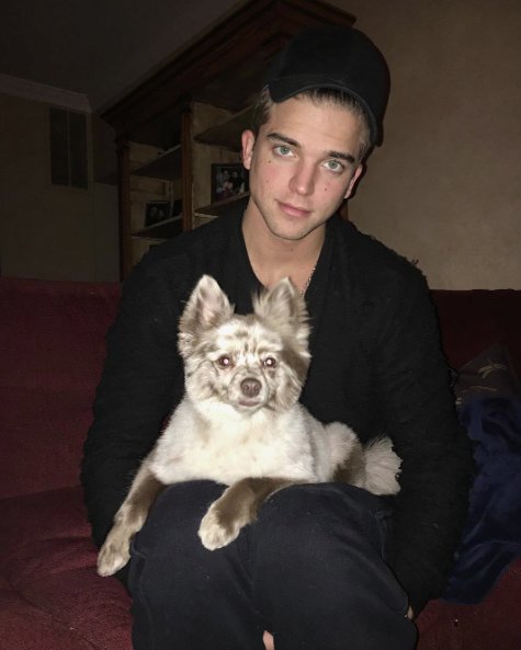 River Viiperi