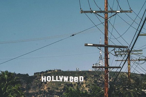 Hollyweed