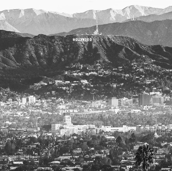 Hollyweed