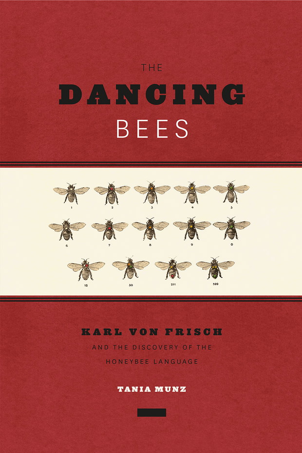 Książki o pszczołach, które są ciekawsze, niż sądzicie: „The Dancing Bees