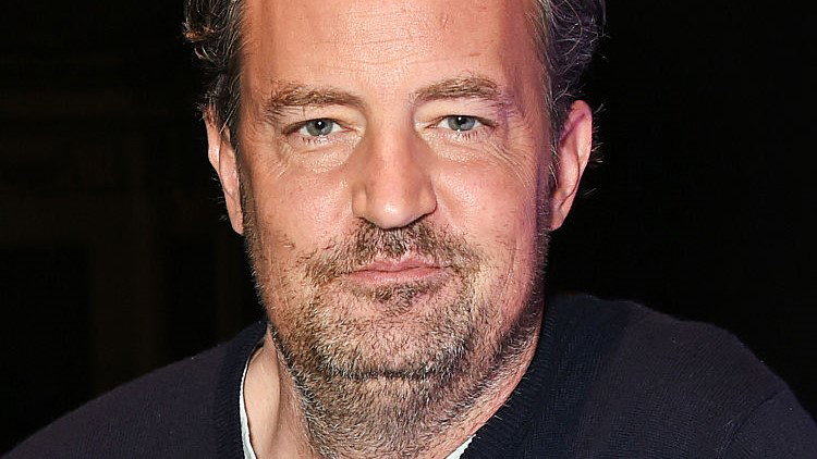 Matthew Perry's "The End Of Longing" - Photocall