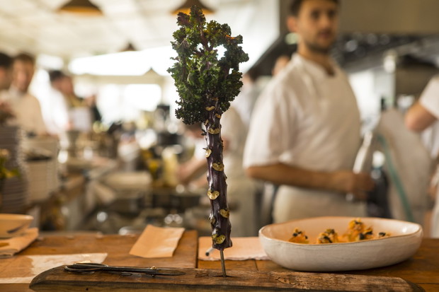 wastED - londyńska restauracja serwująca dania z odpadków