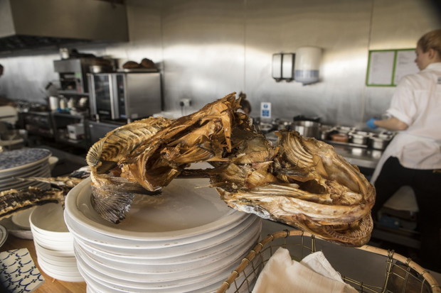 wastED - londyńska restauracja serwująca dania z odpadków