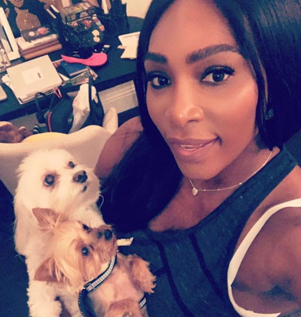Serena Williams jest w ciąży!
