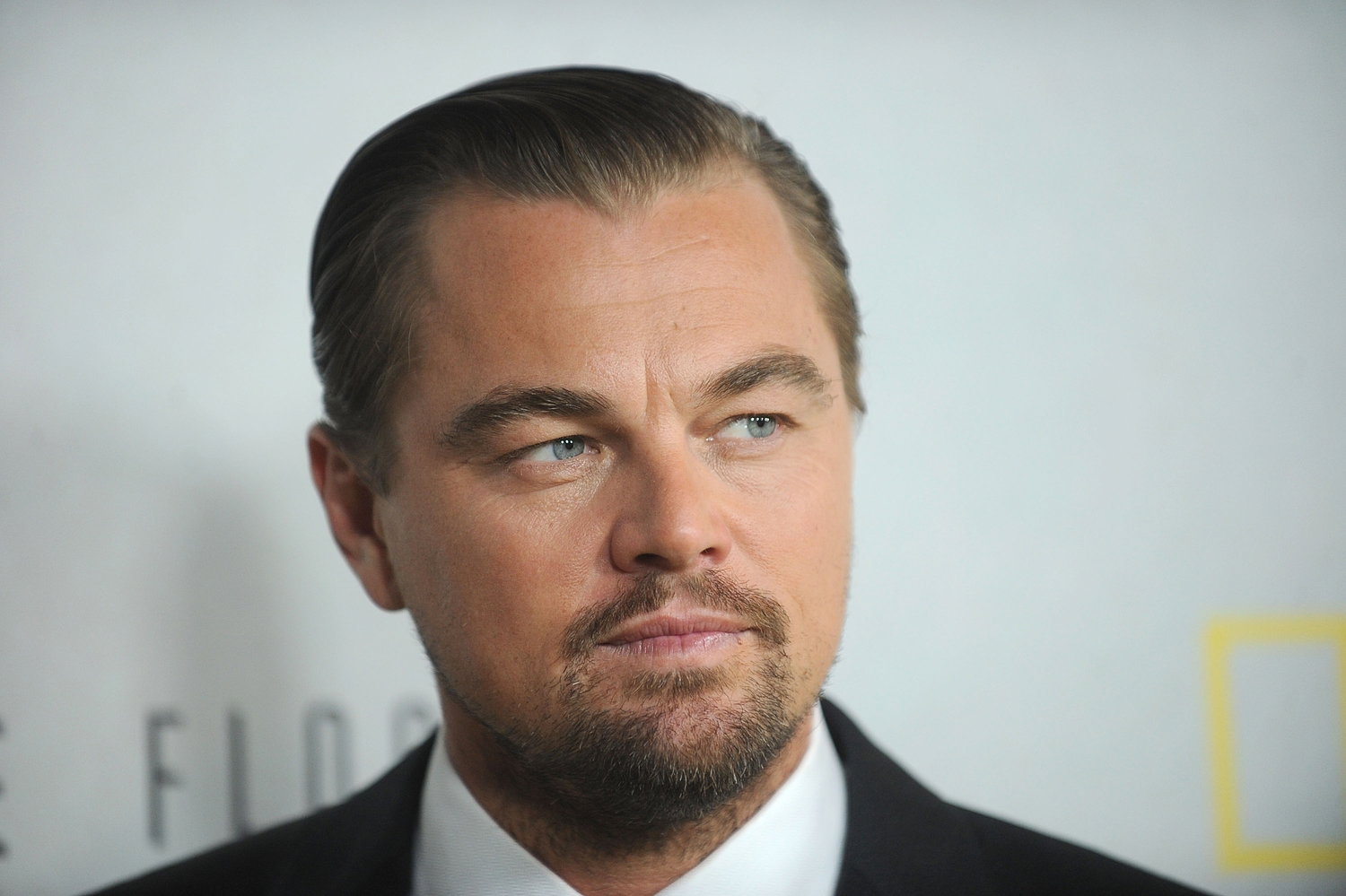 Leonardo DiCaprio ratuje Zatokę Kalifornijską!