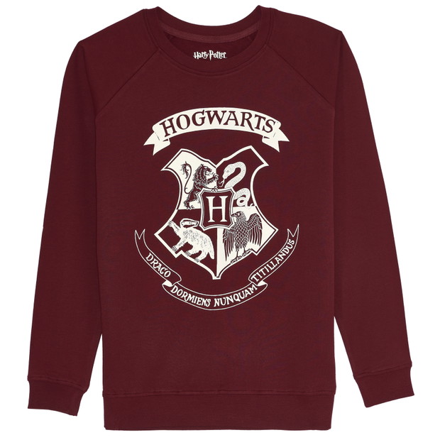 Kolekcja dla fanów Harry'ego Pottera w Sinsay