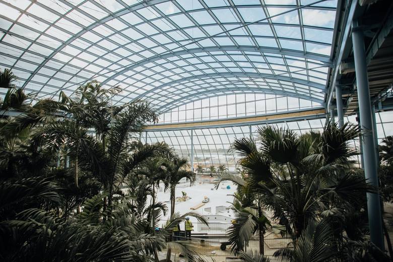Suntago Wodny Świat w Park of Poland, największy aquapark w Europie: Data otwarcia, ceny biletów