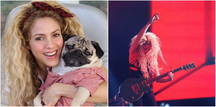 BeFunky CollageShakira