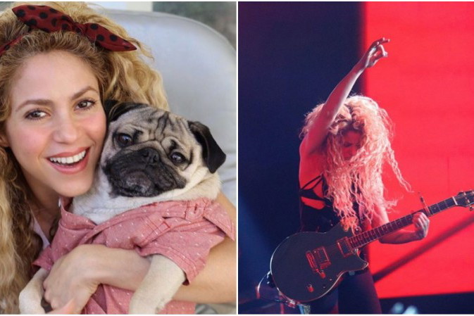 BeFunky CollageShakira