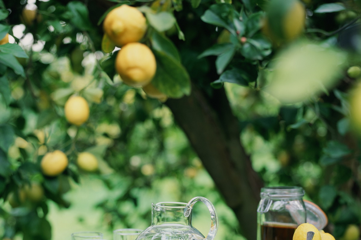 Lemoniada