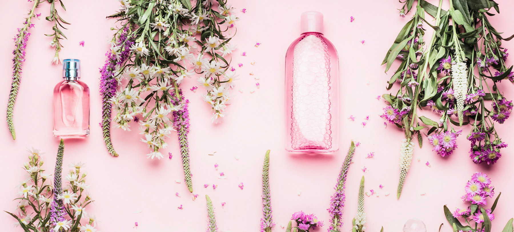 Natural cosmetic products setting with various bottles and fresh herbs and flowers on pink background, top view, flat lay. Beauty, skin, hair or body care concept