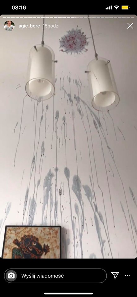 Kombucha zniszczyła ścianę, sufit i lampy...