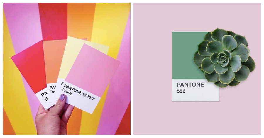 Kolor roku Pantone 2019