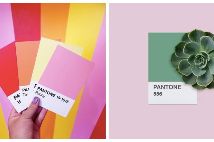 Kolor roku Pantone 2019