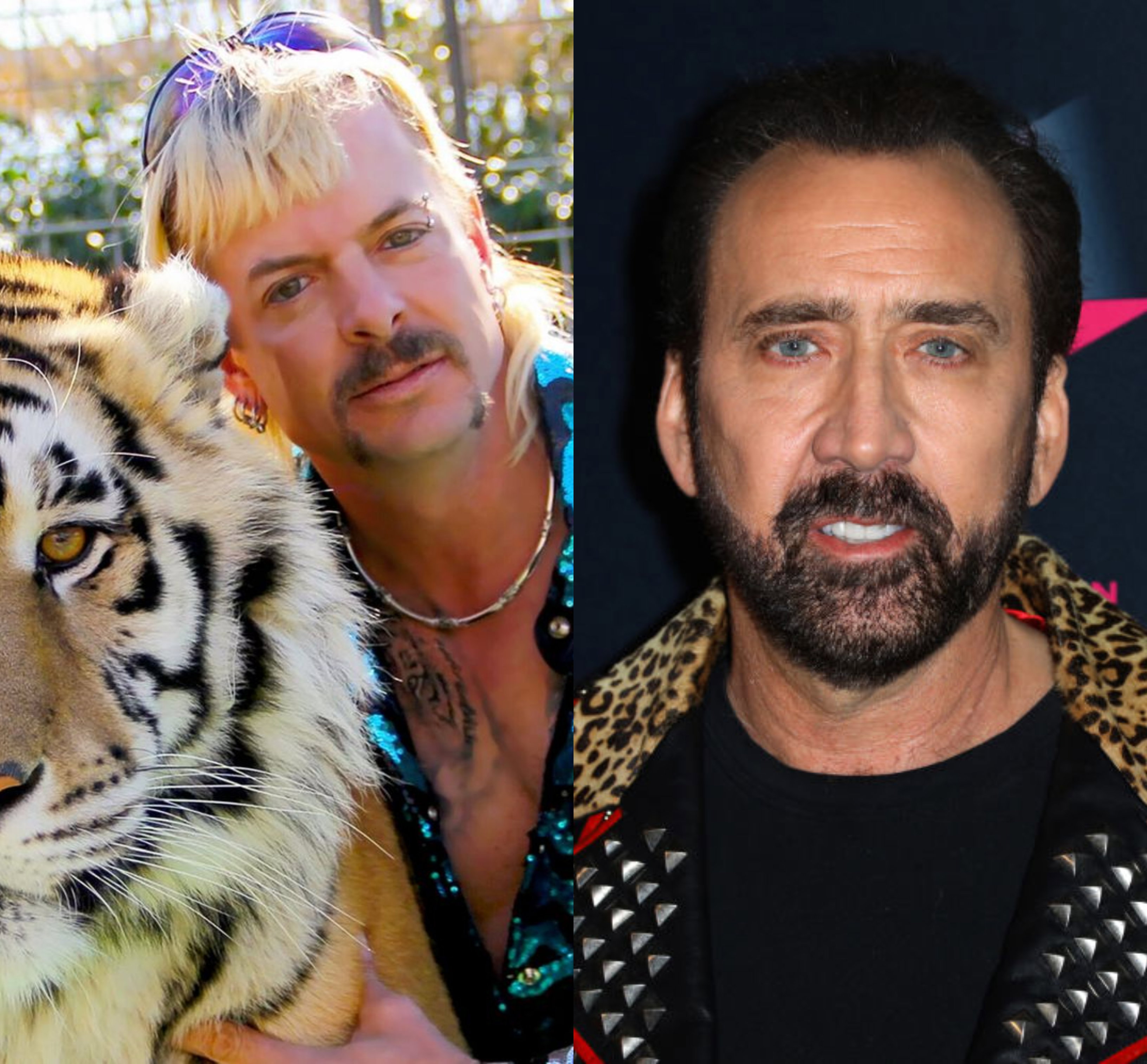 Nicolas Cage zagra „Króla tygrysów”! Pasuje do roli Joe Exotica_ G