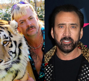 Nicolas Cage zagra „Króla tygrysów”! Pasuje do roli Joe Exotica_ G