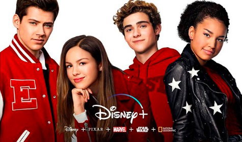 hsm1