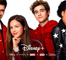hsm1