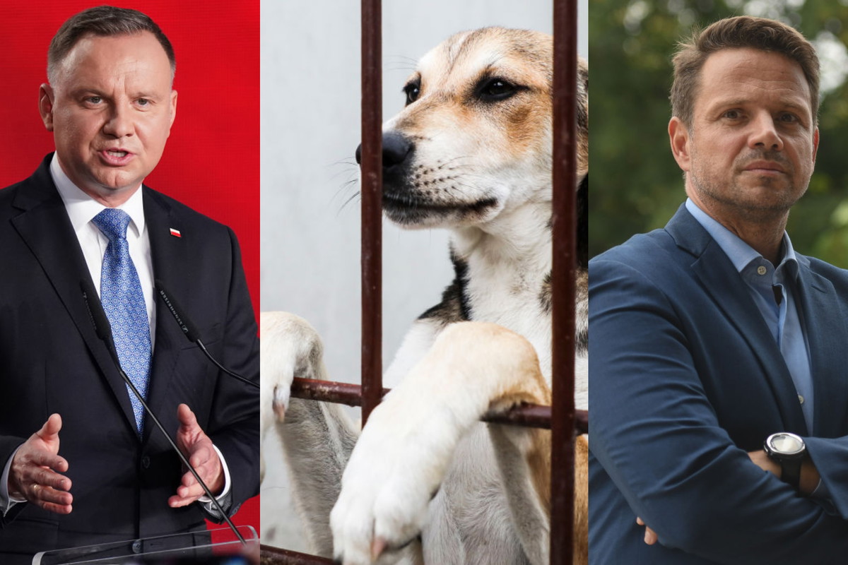 Wybory prezydenckie 2020: Andrzej Duda czy Rafał Trzaskowski – któremu kandydatowi bardziej zależy na ochronie zwierząt?