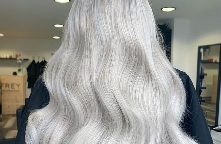 silverfox