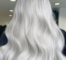silverfox