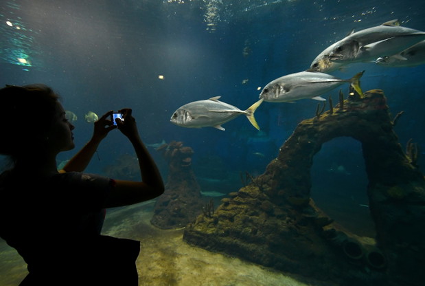 ZOO Wrocław Afrykarium - województwo dolnośląskie