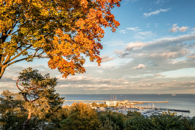 Gdynia okiem Anity Demianowicz