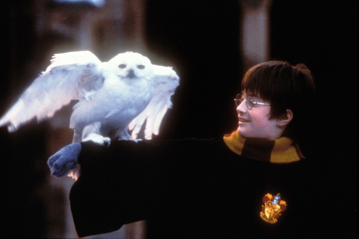 Powstanie serial na podstawie „Harry’ego Pottera”!